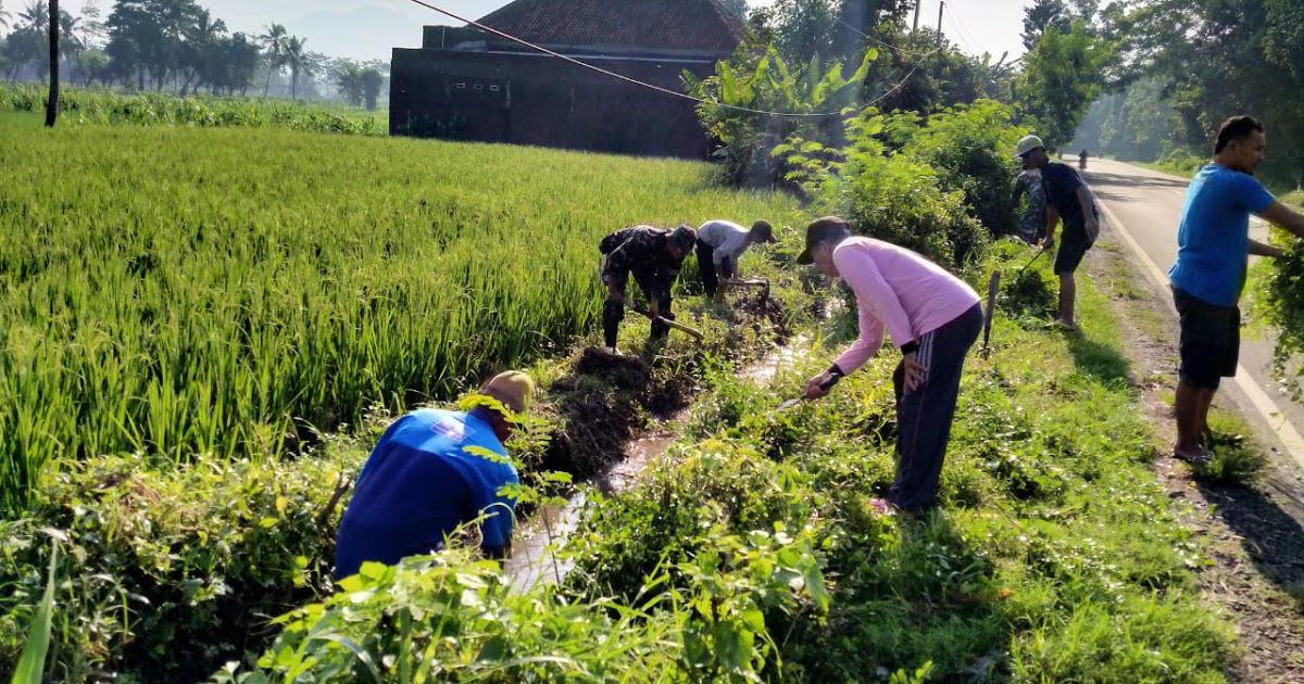 Gerakan Cinta Lingkungan